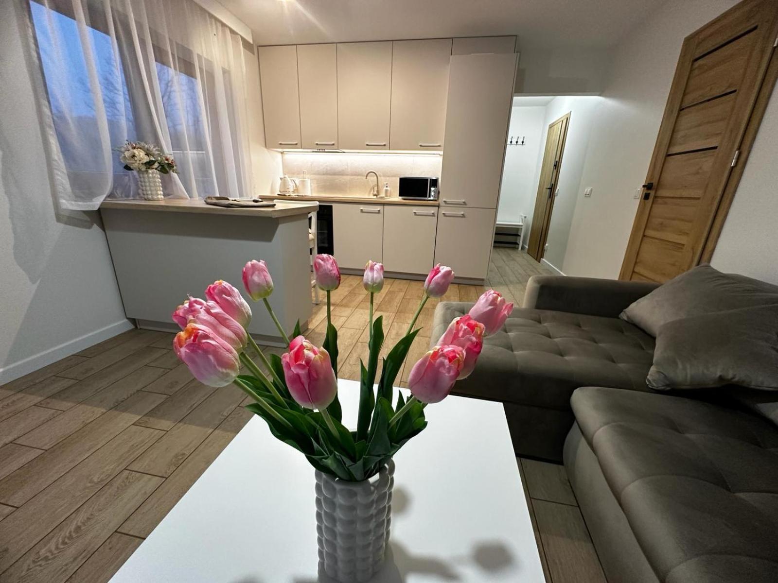 Apartamenty Biala Gran Zakopane Eksteriør billede